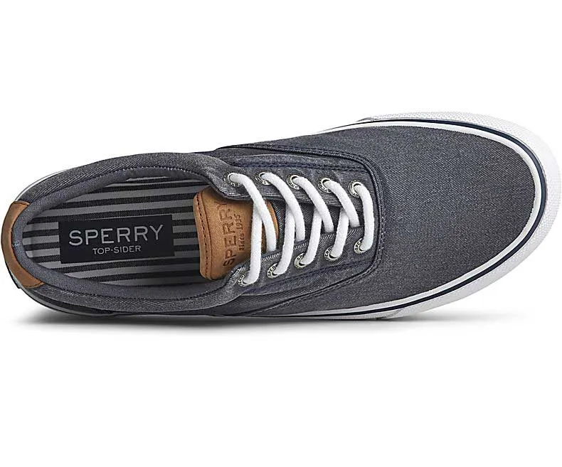 Sperry Striper II CVO Sneaker - A One Clothing